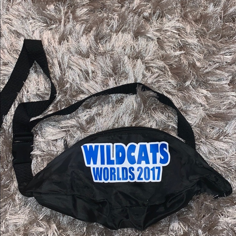 Fanny pack